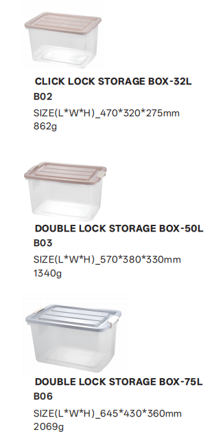 CLICK LOCK STORAGE BOX