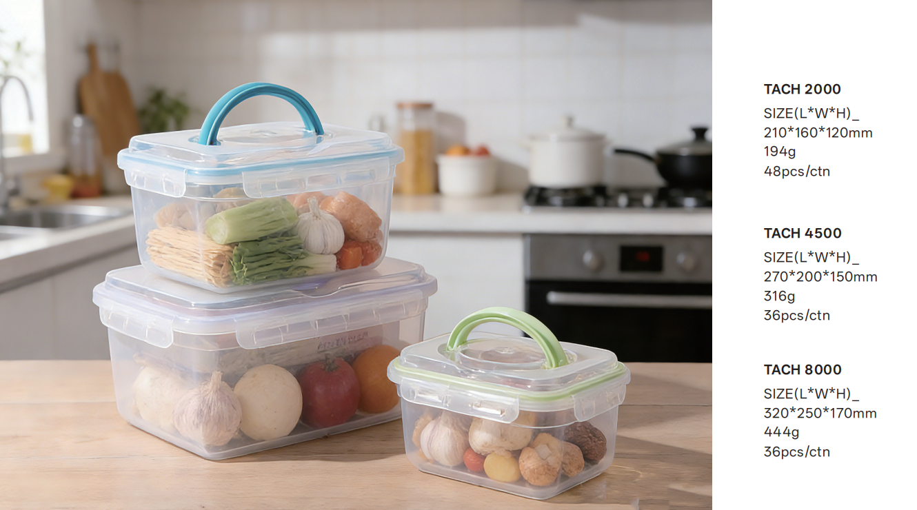 Airtight container with handle